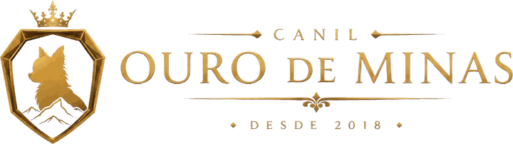 Canil Ouro de Minas — desde 2018