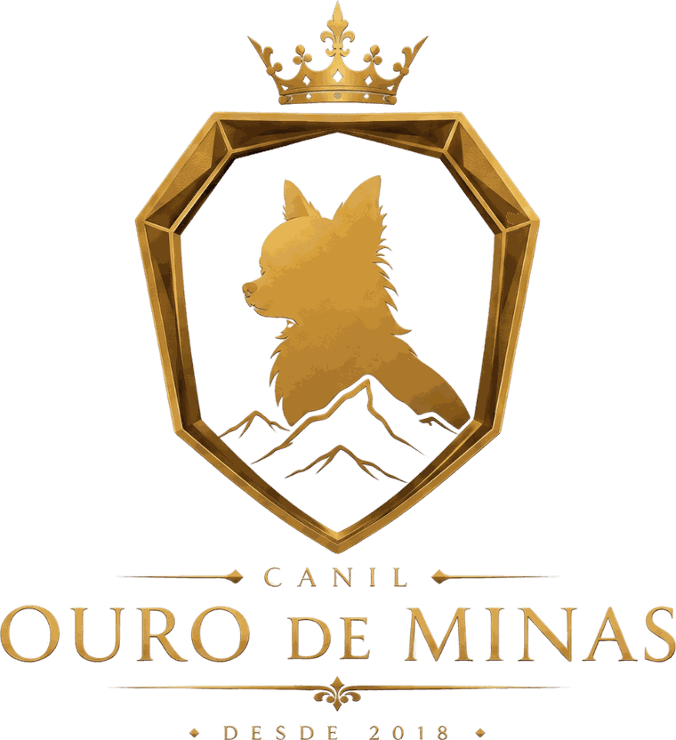 Canil Ouro de Minas